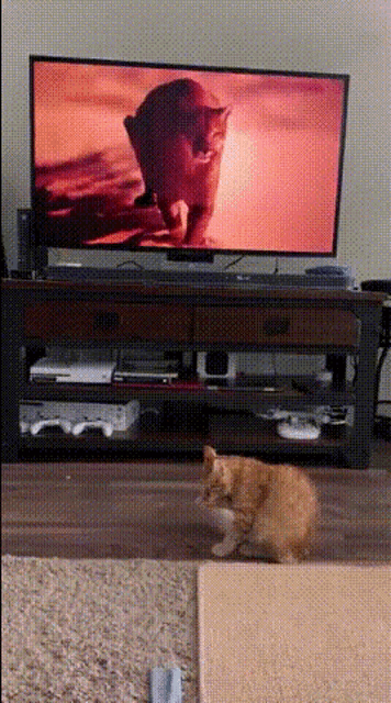 Scared Cat GIF - Scared Cat Jump GIFs