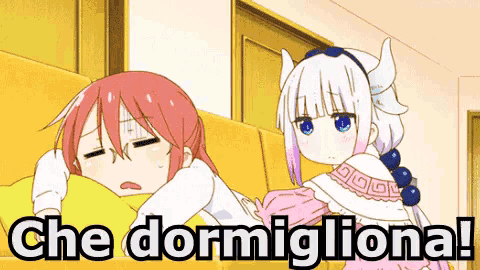 a cartoon of a girl sleeping next to another girl with the caption che dormigliana