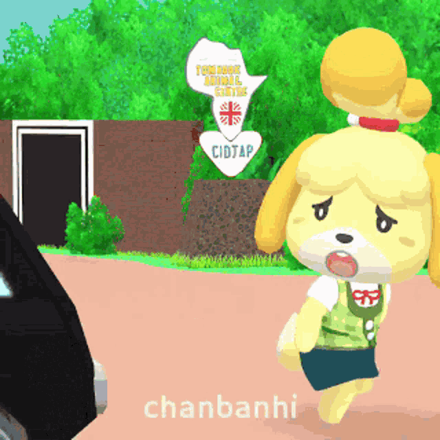 Animal Crossing Chanbanhi GIF - Animal Crossing Chanbanhi Why Are You Running GIFs