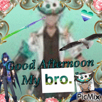 a picture of a man with a seagull says good afternoon my bro