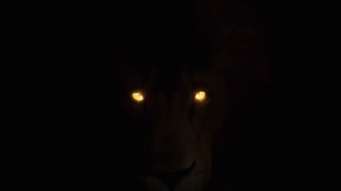 Gryffindor Lion GIF - Gryffindor Lion Fire GIFs