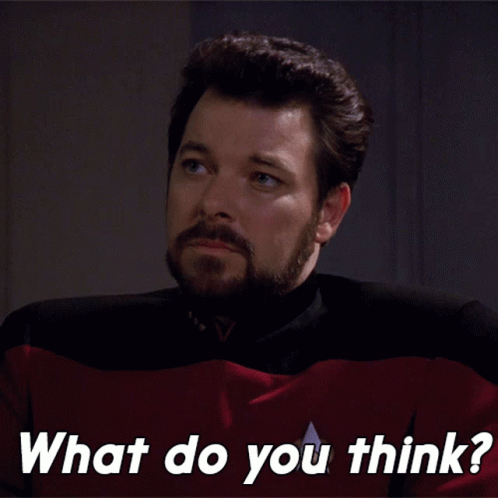 What Do You Think William T Riker GIF - What Do You Think William T Riker Star Trek GIFs