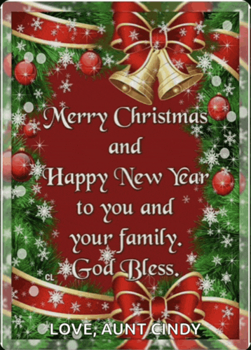 a merry christmas and happy new year to you and your family