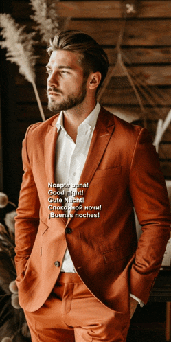 a man in a suit stands with his hands in his pockets and says noapte bona