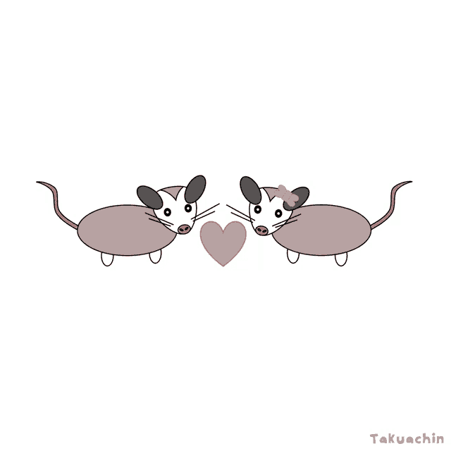 a drawing of two opossums holding a heart with the name takuachin on the bottom
