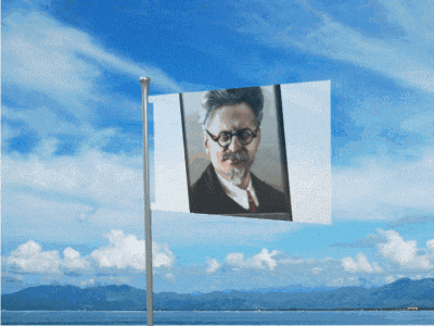 a flag with a picture of a man with glasses and a beard