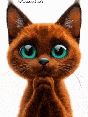 a cat with big green eyes is looking at the camera