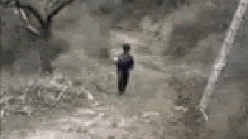 a blurry picture of a person walking down a dirt road in the woods .