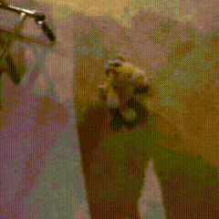 a stuffed animal is standing in front of a wall with a bicycle in the background