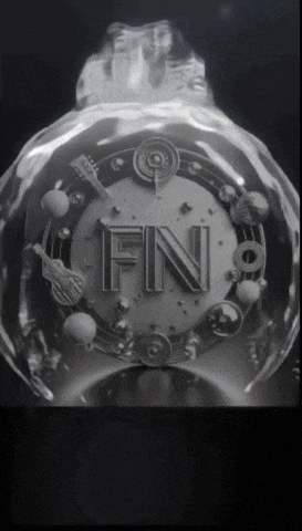 a black and white photo of a fn9 logo