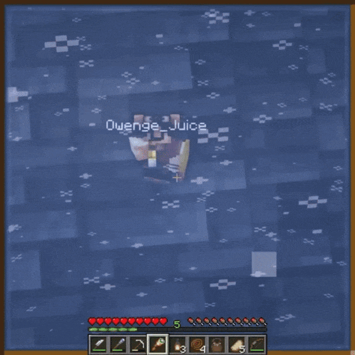 a screenshot of a minecraft game with the name owenge_juice