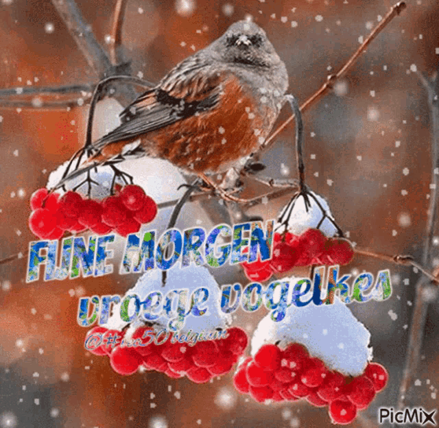 a picture of a bird sitting on a branch with berries and the words fine morgen