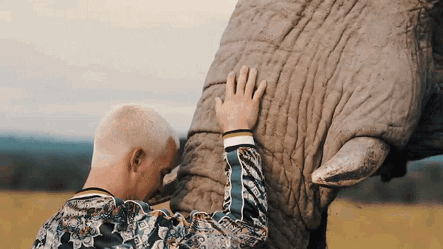a man petting an elephant 's trunk with a jacket that says off white