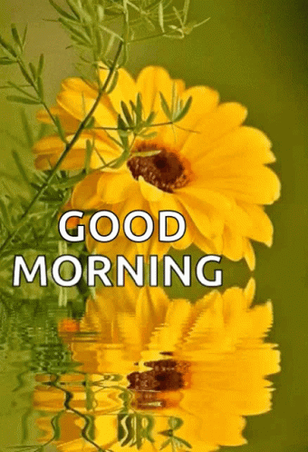 Morning Flowers GIF - Morning Flowers Sparkles GIFs