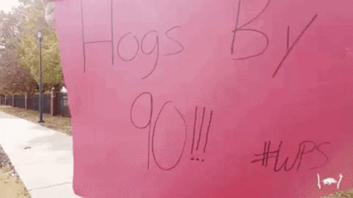 Hogs Hogs By90 GIF - Hogs Hogs By90 GIFs