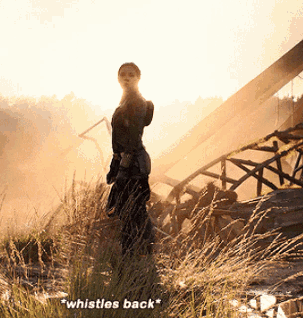 a woman is standing in a field with the words * whistles back * written below her