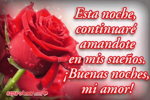 Buenas Noches Mi Amor GIF - Red Rose Buenas Noches Mi Amor Flower GIFs