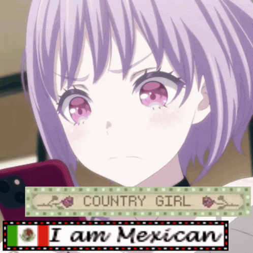 a picture of a girl with purple hair and a sign that says " country girl " and " i am mexican "
