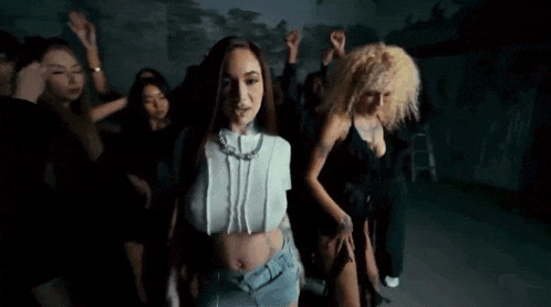 a group of women are dancing in a room .