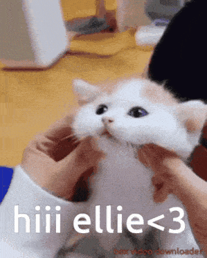Hi Ellie GIF - Hi Ellie Flopper GIFs