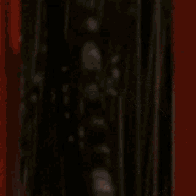 a close up of a person peeking out from behind a red curtain .