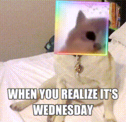 Wednesday Midweek GIF