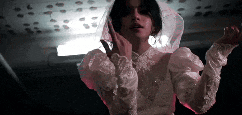 a woman in a wedding dress with a veil on her head