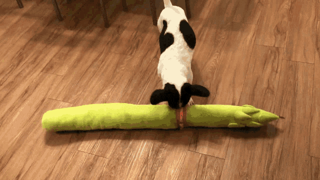 Puppy Play GIF - Puppy Play Asparagus GIFs