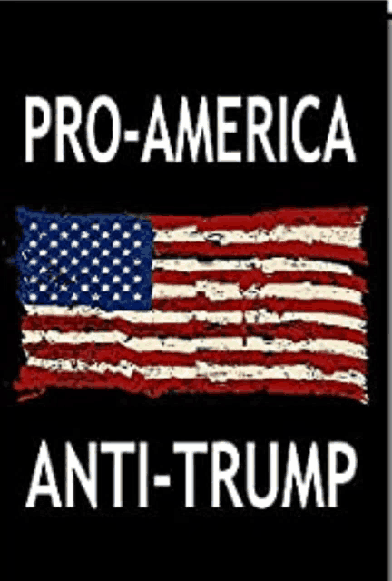 a pro-america anti-trump sign with an american flag