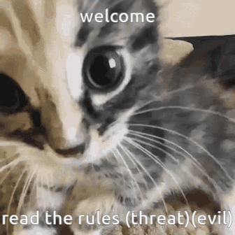 Kitty Read The Rules GIF - Kitty Read The Rules Discord GIFs