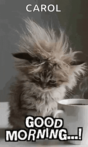 a fluffy kitten is sitting next to a cup of coffee and says `` good morning carol '' .