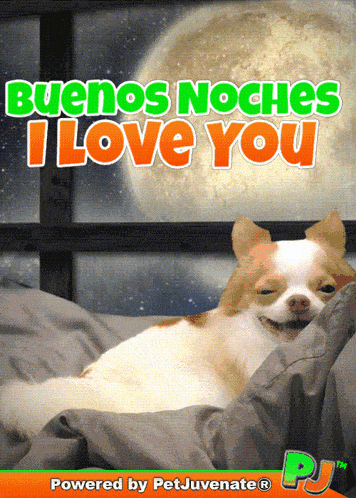 a picture of a dog laying in bed with the words buenos noches i love you above it