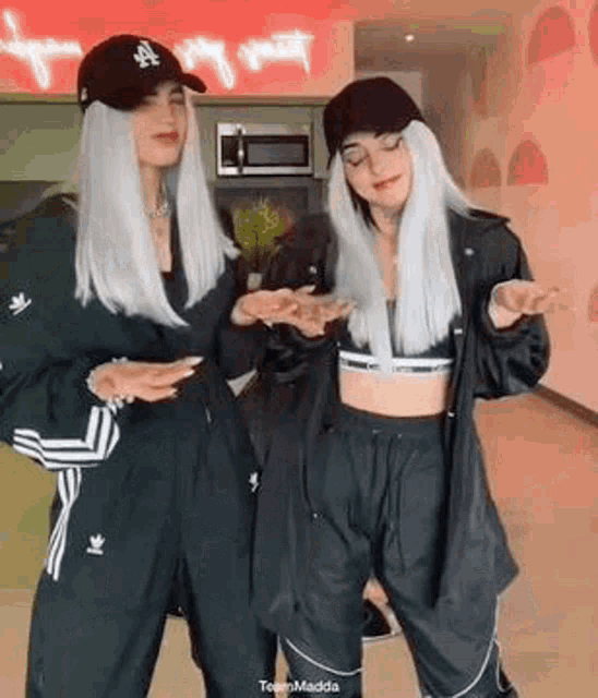two women are standing next to each other in a room .