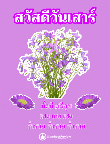 a bouquet of purple flowers on a purple background with siambest review written on the bottom