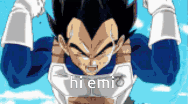 a pixelated image of a dragon ball z character with the words hi emi written on the bottom