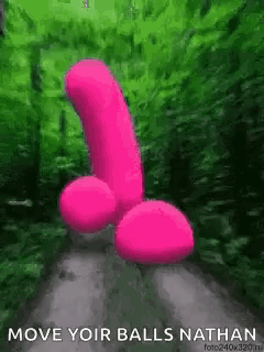 a pink penis is walking down a road with the words `` move your balls nathan '' written on it .