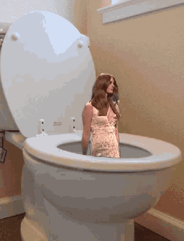 a woman in a pink dress is standing in a toilet