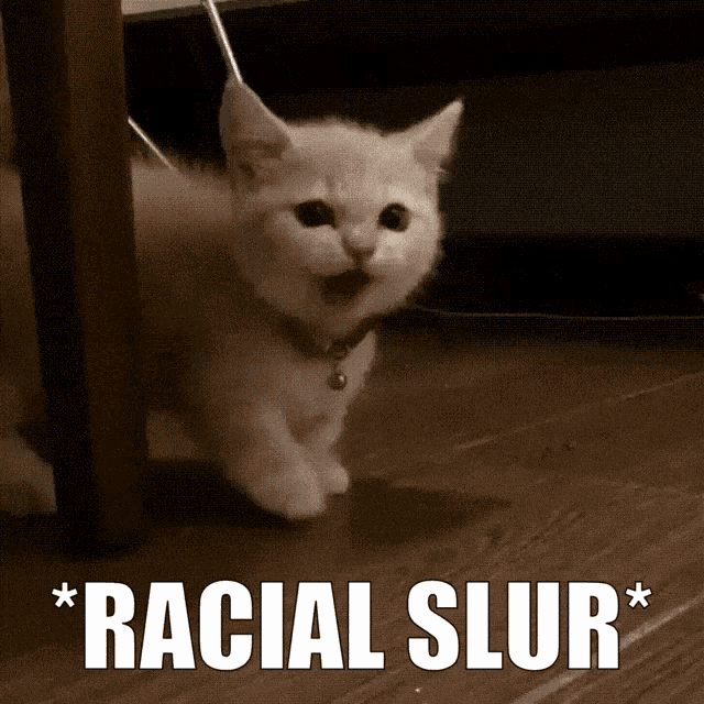 a picture of a kitten with the words racial slur written below it