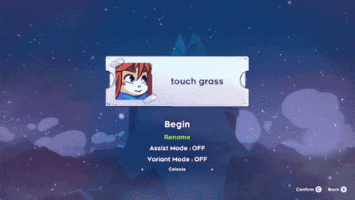 a screenshot of a video game that says touch grass on it