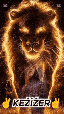 a picture of a lion with a woman in the background and the name kezizer