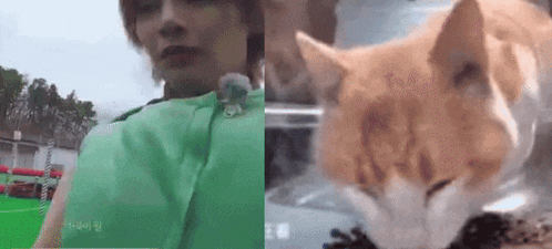 a man in a green jacket is standing next to a cat drinking water .