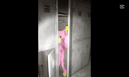 a pink stuffed animal with a yellow beak is in a locker
