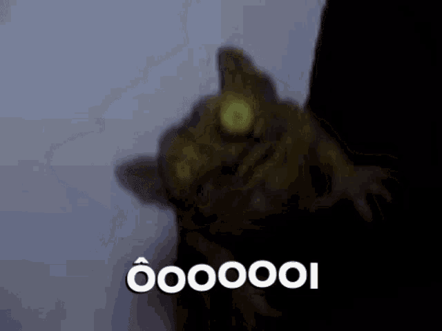 a frog with green eyes is standing in the dark with the words oooooooi written on the bottom .