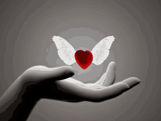 a hand holding a red heart with white wings on it