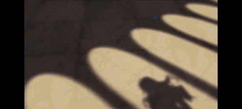 a shadow of a person is cast on a wall by arches .