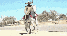 a man wearing a sombrero is riding a horse