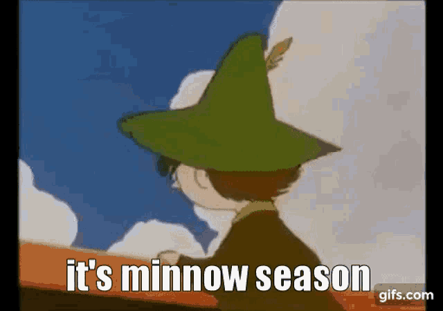 a cartoon character with a green hat and a feather on his hat is standing in front of a cloudy sky .