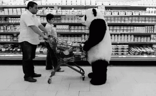 Oso Panda GIF - Panda Shopping Cart Bully GIFs