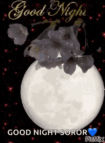 Goodnight Soror GIF