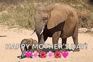 a mother elephant is standing next to her baby elephant and says happy mother 's day .